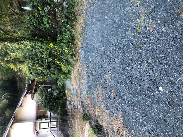 現地土地／共有持分