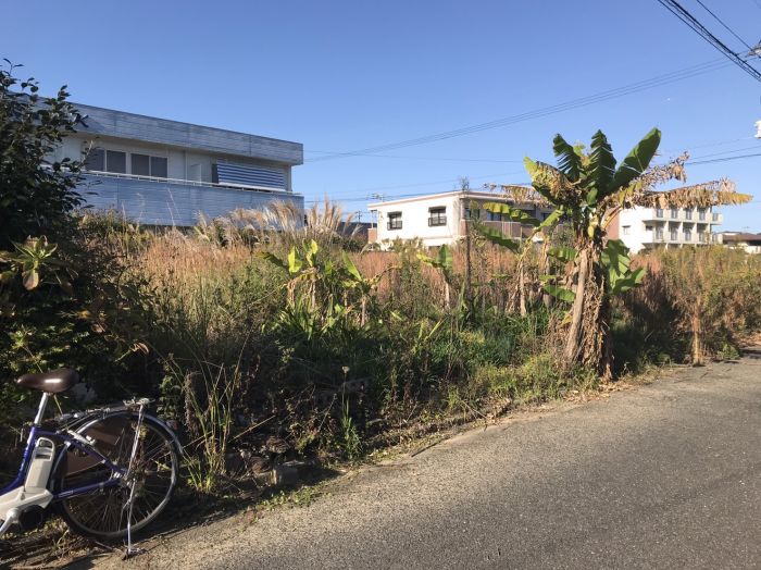 歩道から見た様子です。