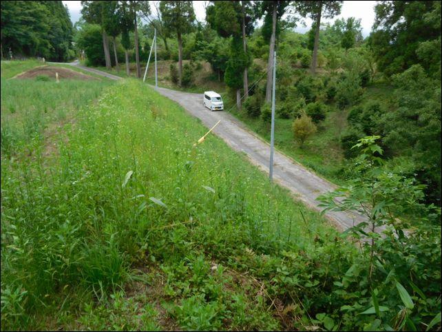 土地の一番高い所から市道方向を見ています。