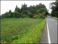 路肩まではグリーンロードの道路敷きですから、高低差があります