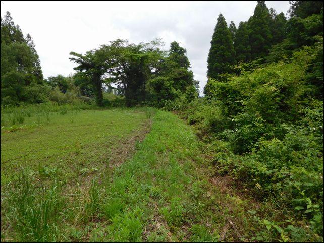 右側の土手が河川側です。この辺りが「がけ地」に該当します