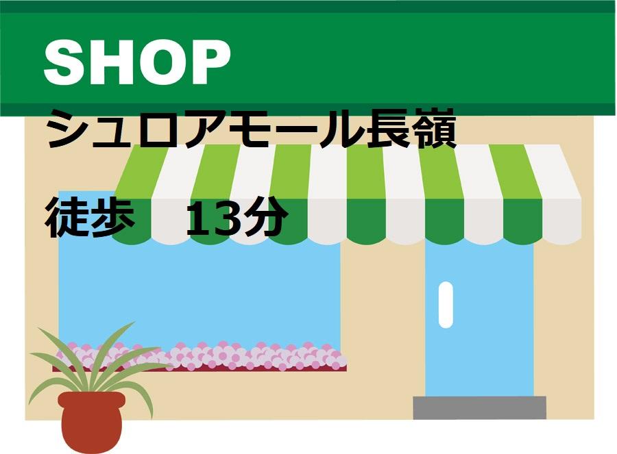 シュロアモール (980m)