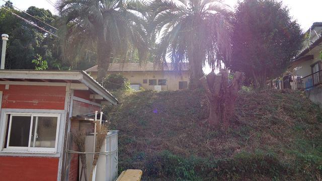 現地土地／北側がけ下の道路から