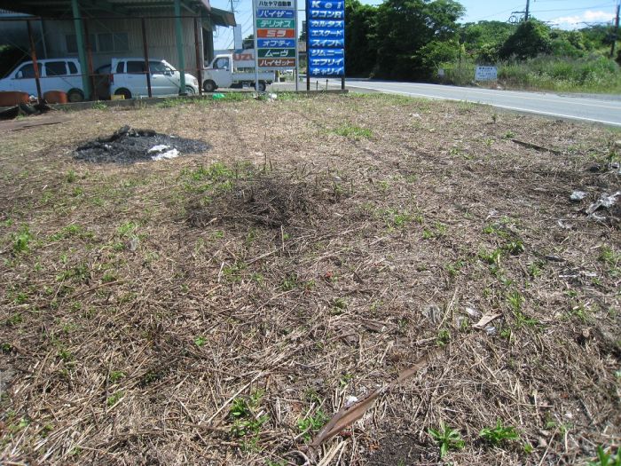 国道沿いの視認性のある目立つ場所