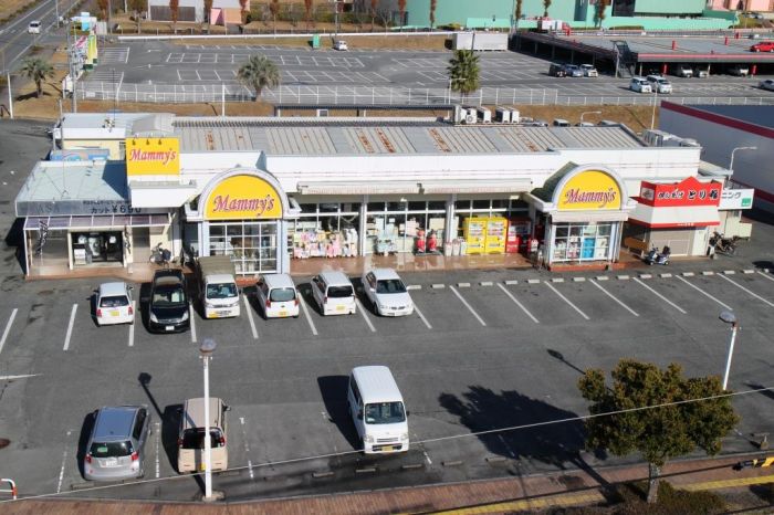 スーパーマミーズ (30m)