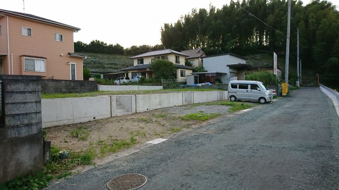 対象地の接道を写す