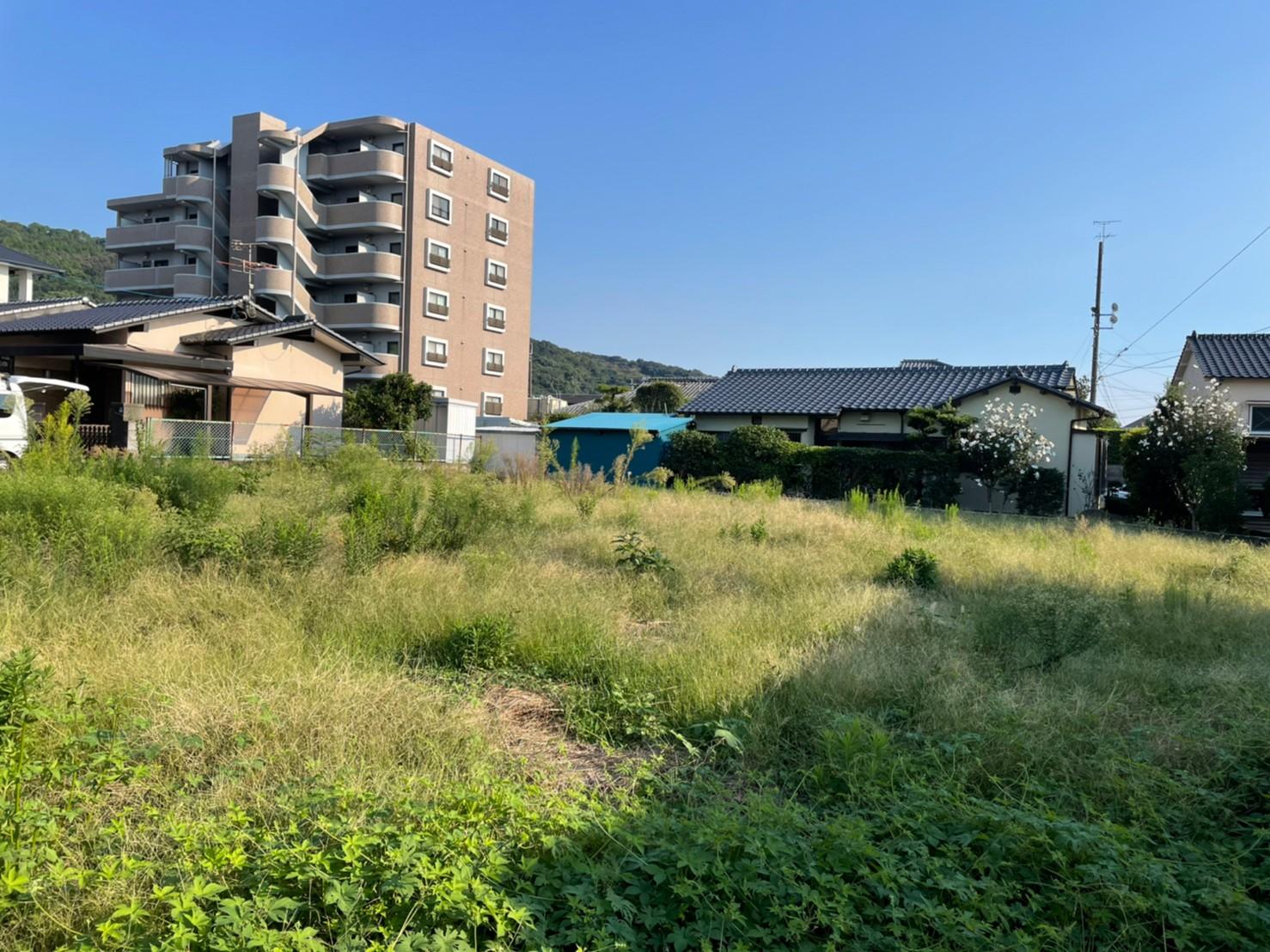 現地土地／開けた土地です