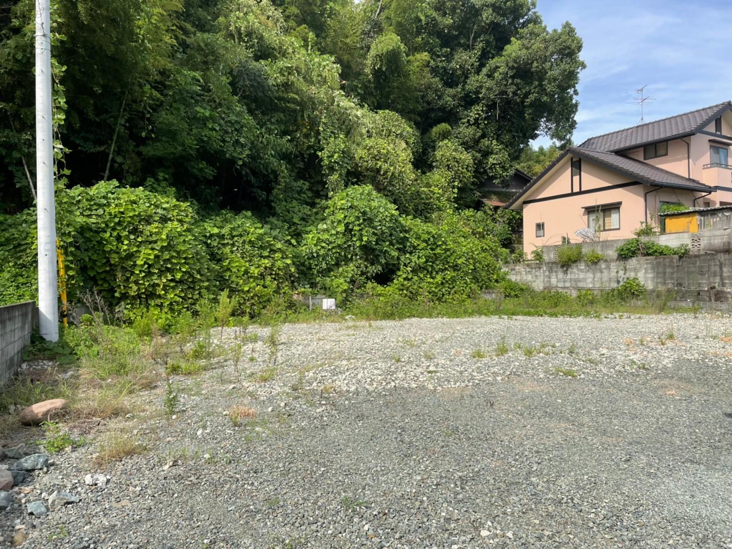 現地土地／南側から②