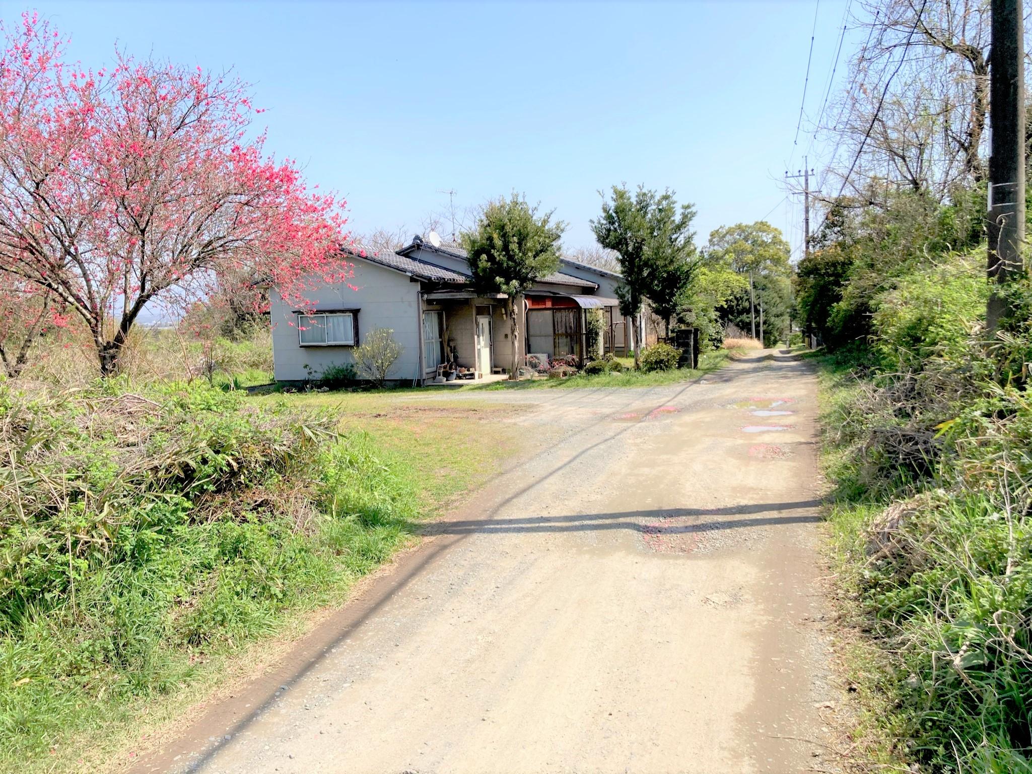現地土地／前面道路です。