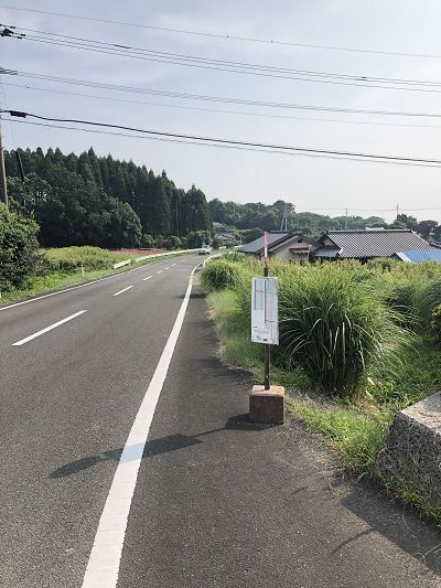 現地土地（前面道路含む）／９０２－３を北東から