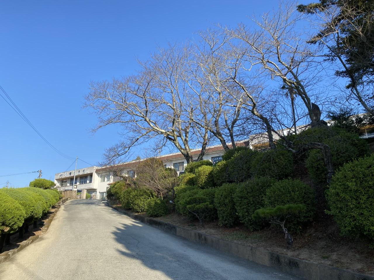 山鹿市立八幡小学校 (1,778m)