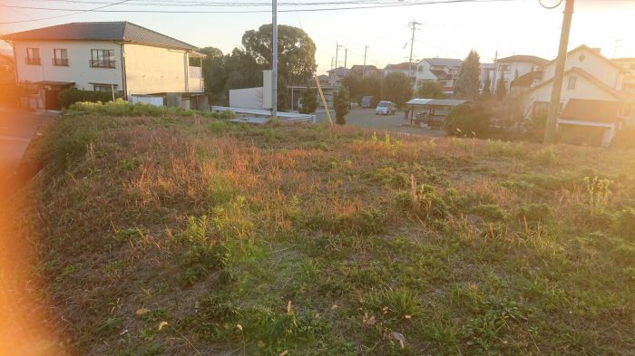 高台につき陽当良